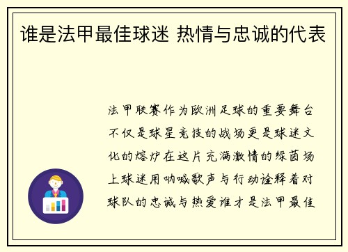 谁是法甲最佳球迷 热情与忠诚的代表