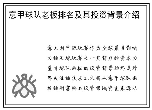 意甲球队老板排名及其投资背景介绍