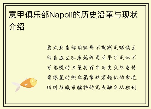 意甲俱乐部Napoli的历史沿革与现状介绍