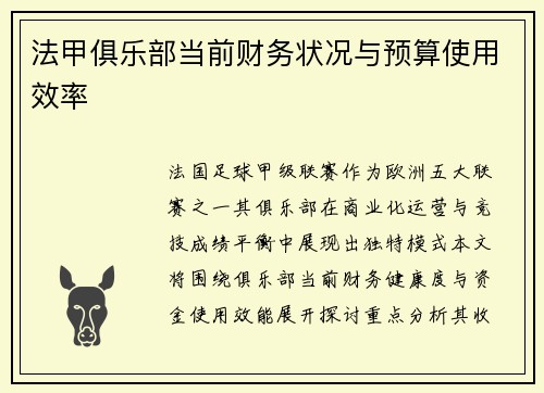 法甲俱乐部当前财务状况与预算使用效率
